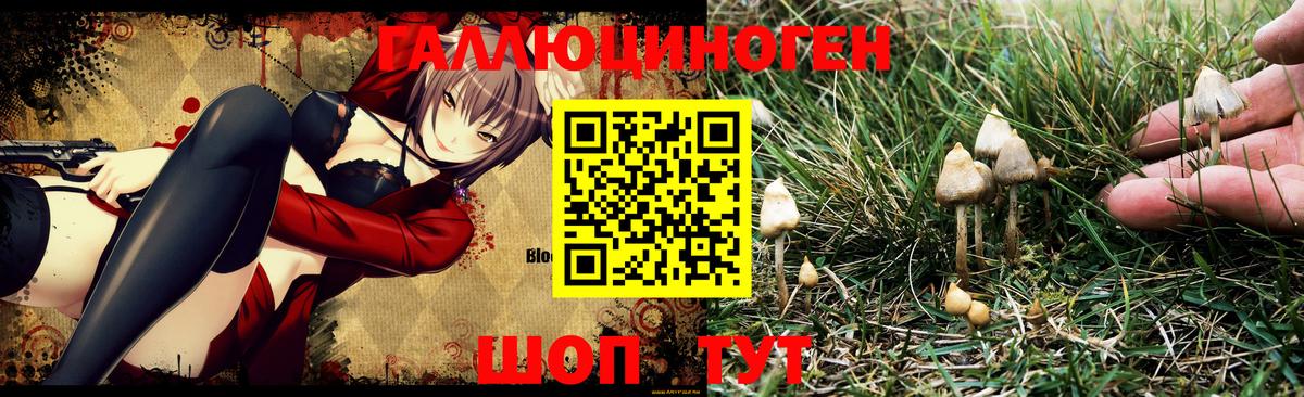 Галлюциногенные грибы Magic Shrooms Старая Купавна