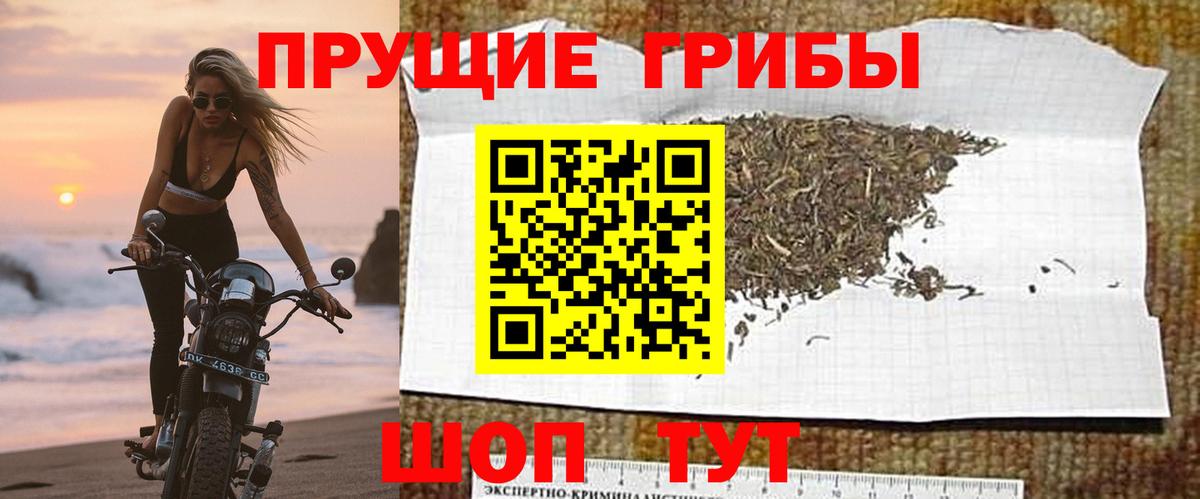 Галлюциногенные грибы Psilocybe  Вход с VPN  закладки  Старая Купавна 